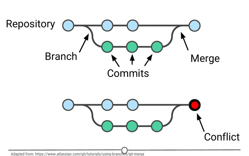 branch
